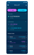 Beam Wallet